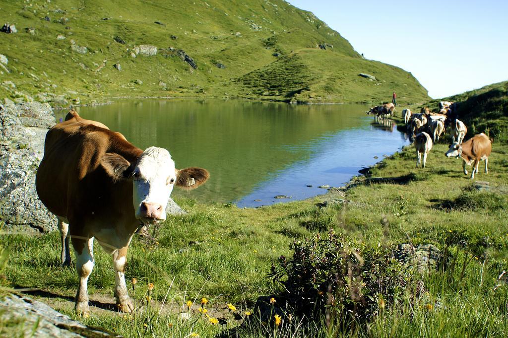 Hotel Wechselberger Saalbach-Hinterglemm Bagian luar foto