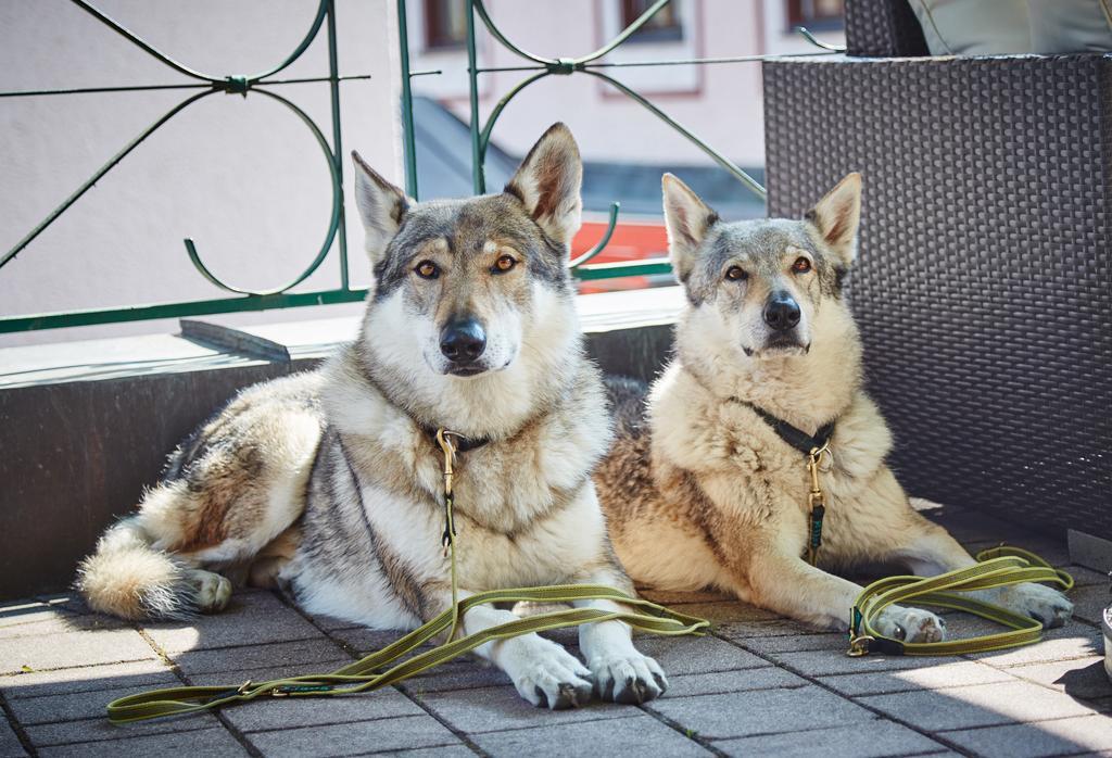 Hotel Wechselberger Saalbach-Hinterglemm Ruang foto
